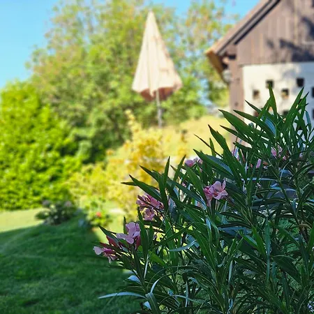 Martin's Family With Hot Tub & Views Alpesi faház