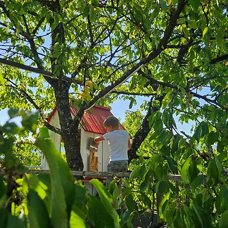 Martin's Family With Hot Tub & Views בקתה Smarje pri Jelsah