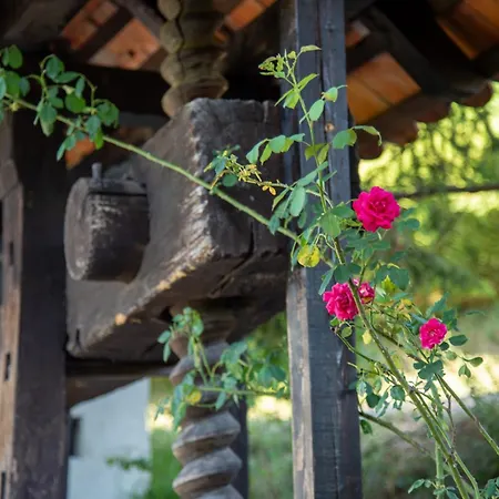 Martin's Family With Hot Tub & Views Šmarje pri Jelšah