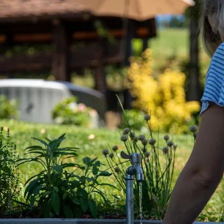 Martin's Family With Hot Tub & Views בקתה