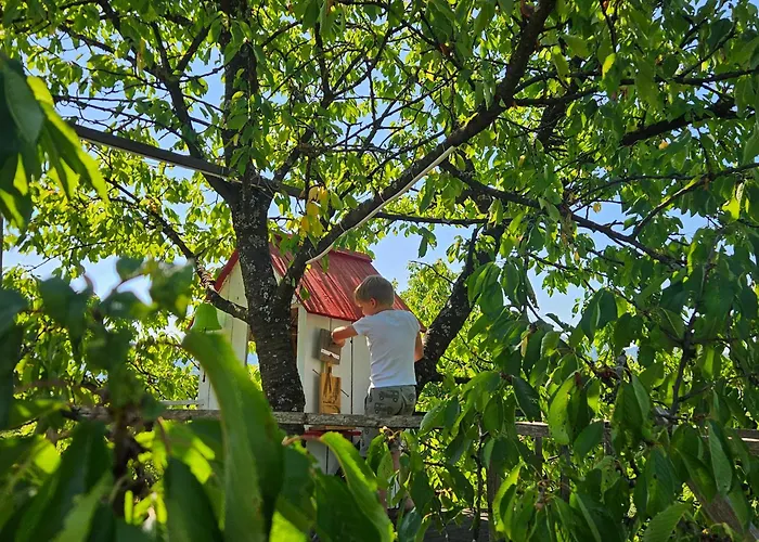 Martin's Family With Hot Tub & Views شاليه Smarje pri Jelsah