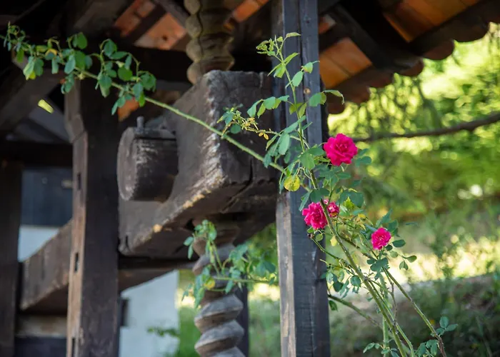 Martin's Family With Hot Tub & Views Smarje pri Jelsah